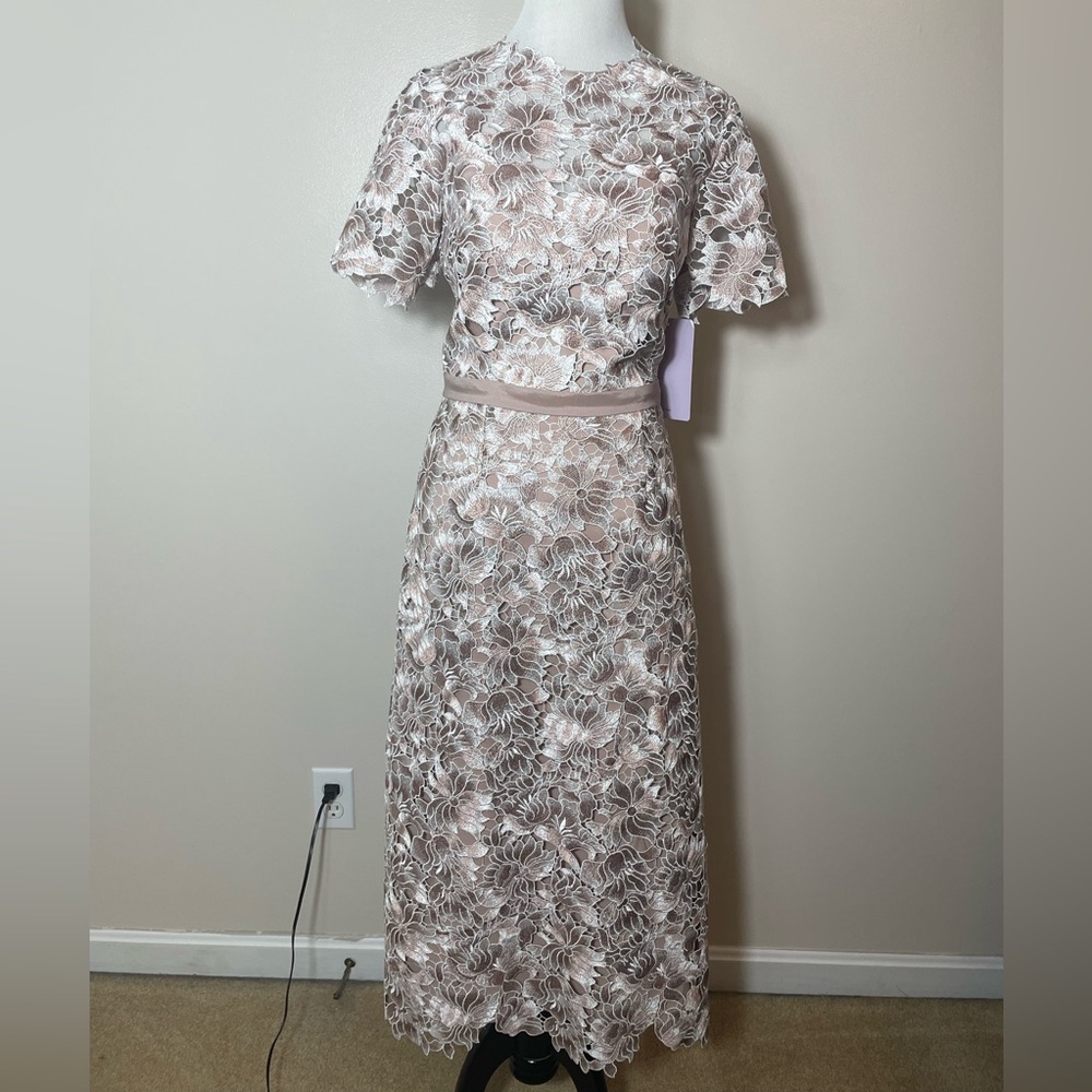 NWT JS Collections Nude & Ivory Midi Dress